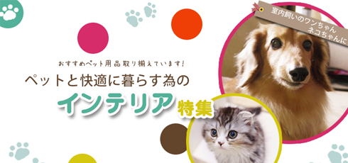 京都 DIY＆リフォームショップREROOM【ペット特集 滑り止め】